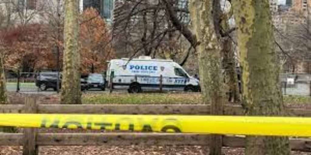 Man discovered dead in NYC Central Park playground with neck cuts
